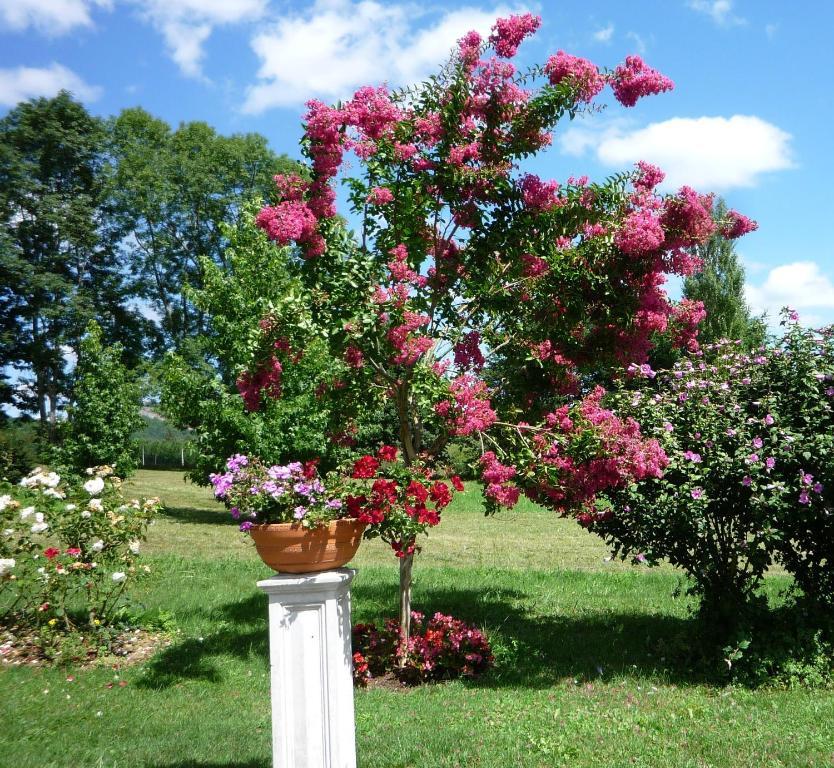Domaine Vega Bed & Breakfast Saint-Arroman  Екстериор снимка