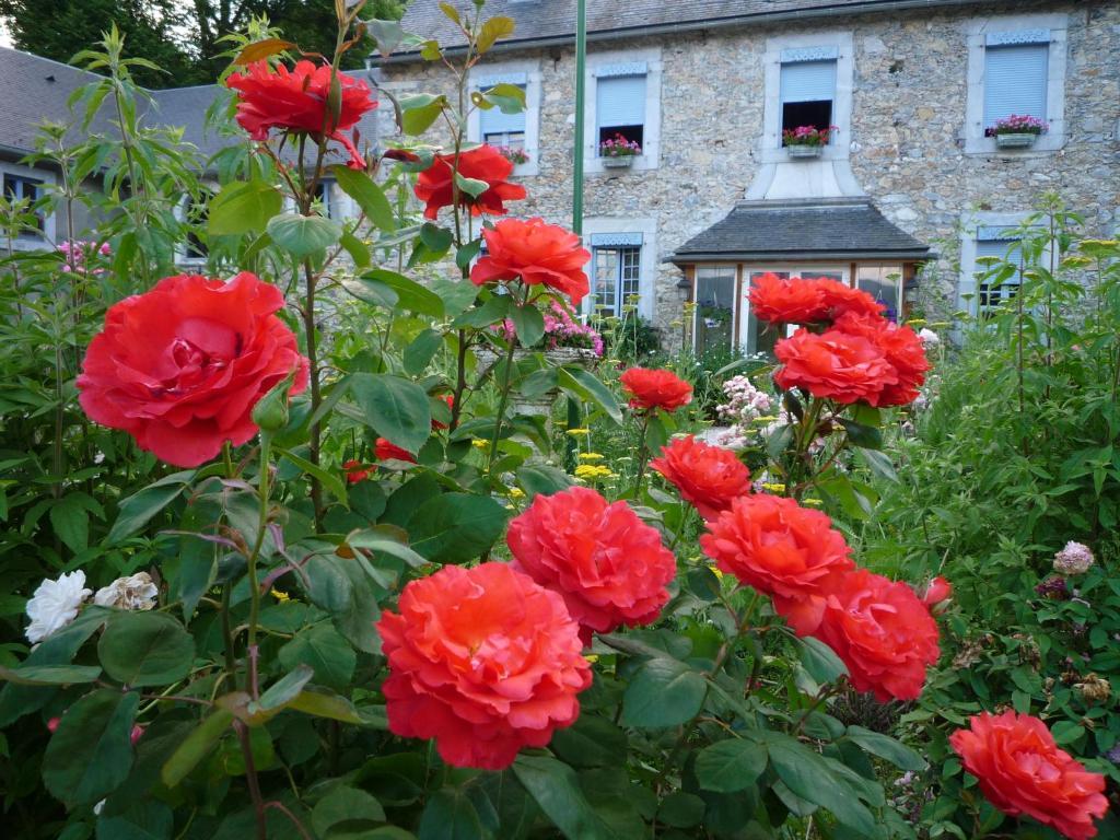 Domaine Vega Bed & Breakfast Saint-Arroman  Екстериор снимка