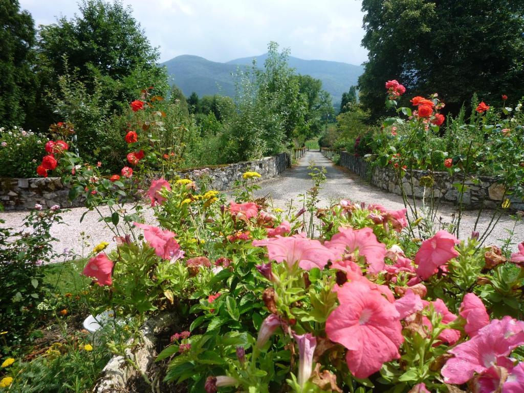 Domaine Vega Bed & Breakfast Saint-Arroman  Екстериор снимка